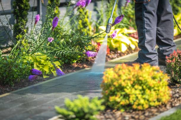 Best Patio and Deck Pressure Washing  in Keene, NH